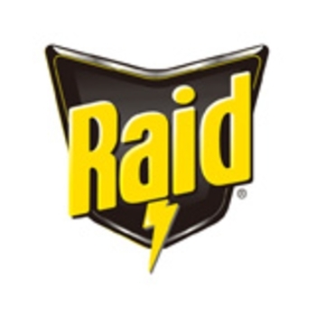 Raid