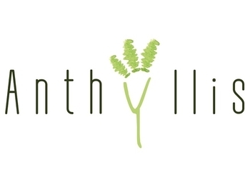 Anthyllis