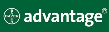 Advantage by Bayer