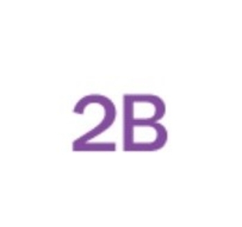 2B