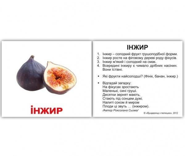 Мінікартки Домана Вундеркінд з пелюшок "Фрукти" з фактами (українська) - Pampik