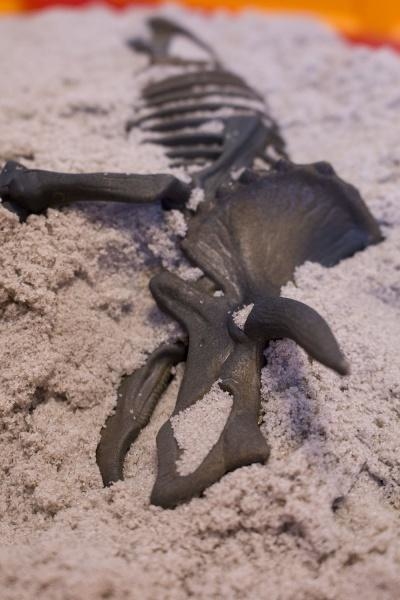 Набір Waba Fun Розкопки динозавра Dino T-Ric (150-112) - Pampik - 3