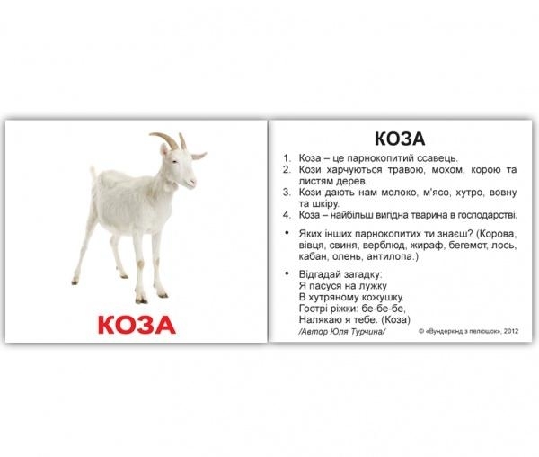 Карточки Домана Вундеркинд с пеленок Домашние животные, с фактами, 20 шт., укр. язык (2100064091544) - Pampik - 6