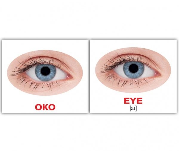 Мини-карточки Домана Вундеркинд с пеленок Человек/Human, укр.-англ. язык, 40 шт. (2100064094170) - Pampik - 4