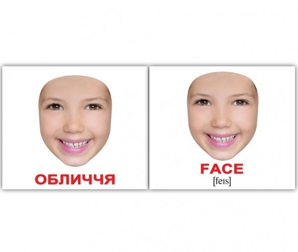 Мини-карточки Домана Вундеркинд с пеленок Человек/Human, укр.-англ. язык, 40 шт. (2100064094170) - Pampik - 3