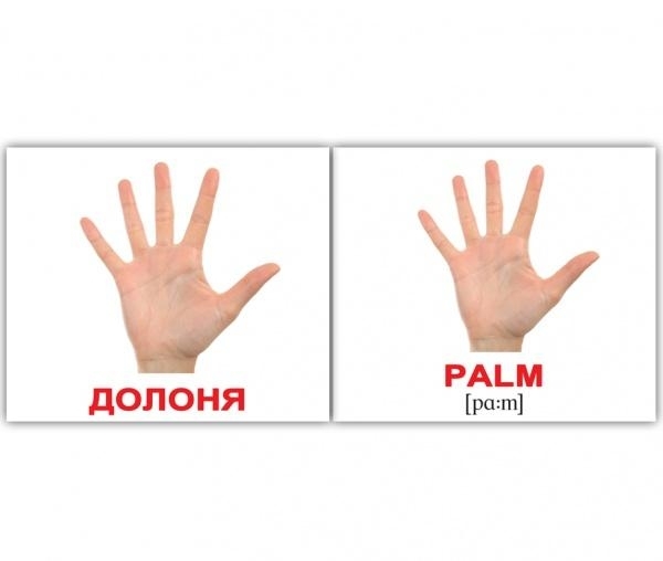 Мини-карточки Домана Вундеркинд с пеленок Человек/Human, укр.-англ. язык, 40 шт. (2100064094170) - Pampik