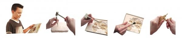 Набір Easy Science для розкопок Секрети мамонта - Pampik - 6