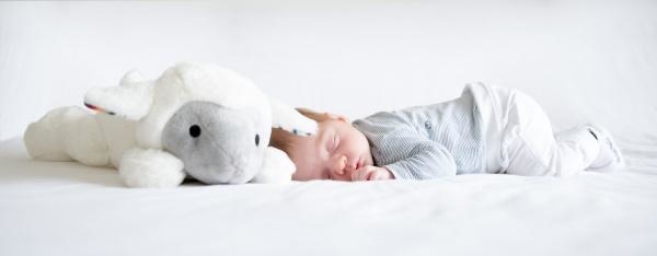 Мягкая игрушка для новорожденного Zazu Барашек (ZA-LIZ-01) - Pampik - 7