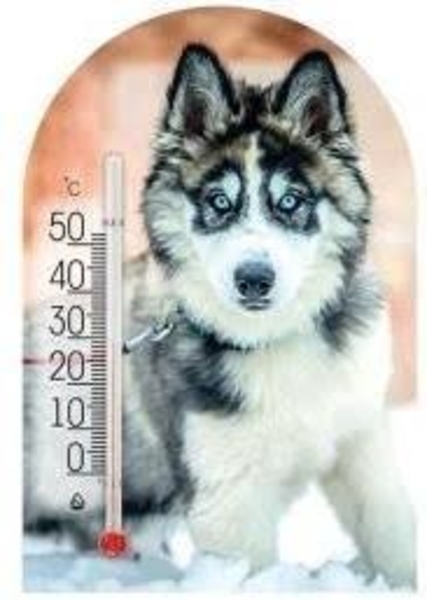 Термометр Склоприлад Сувенір Зоо світ Хаскі (300250) - Pampik