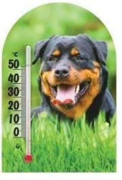Термометр Склоприлад Сувенір Зоо світ Ротвейлер (300250) - Pampik