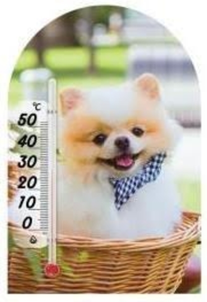 Термометр Склоприлад Сувенір Зоо світ Шпіц білий (300250) - Pampik