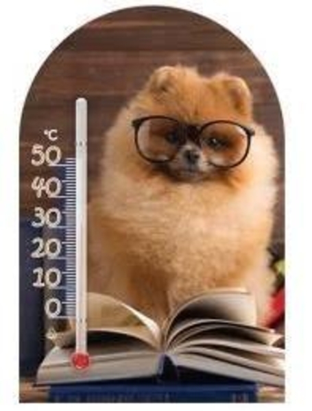 Термометр Склоприлад Сувенір Зоо світ Шпіц (300250) - Pampik