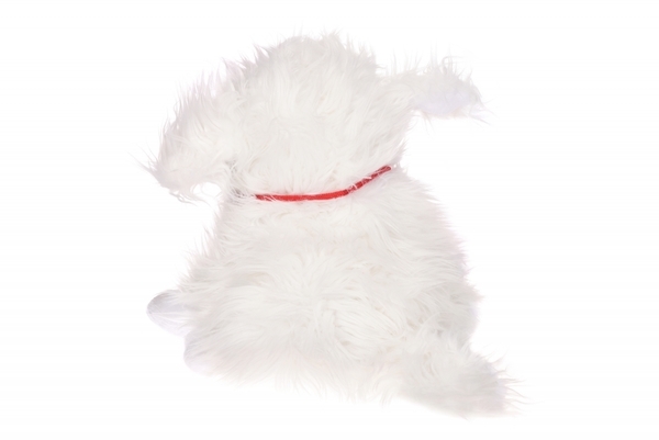 Кукла-перчатка Goki Собачка Klabauter (51555G) - Pampik - 3