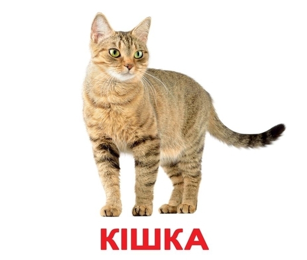 Подарунковий набір Вундеркінд з пелюшок Моя перша валіза Ламинація, українська (2100065115317) - Pampik - 10