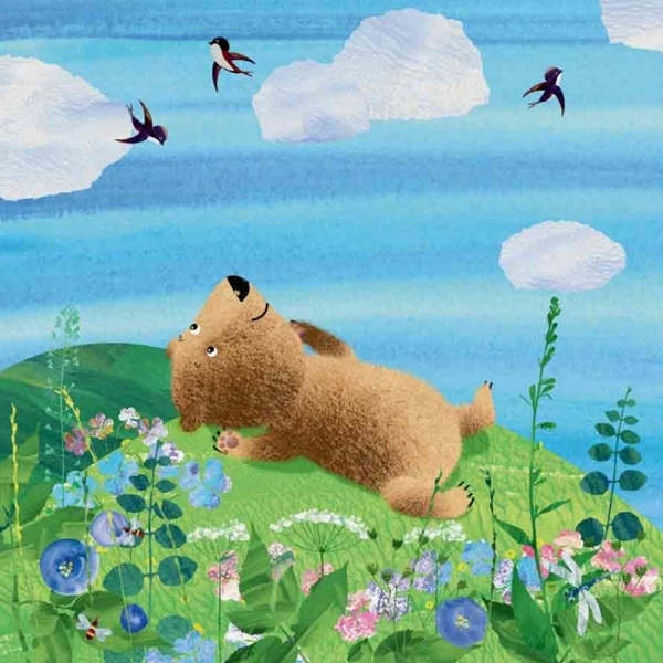 Світ навколо мене. Дивовижні відкриття ведмедика Санні в лісі - Чуб Наталія (S848002У) - Pampik - 6