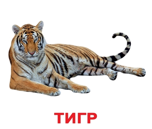 Подарочный набор Вундеркинд с пеленок Мой первый чемодан, русский (2100065145314) - Pampik - 3