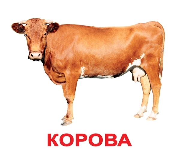 Подарунковий набір Вундеркінд з пелюшок Моя перша валіза, український (2100065125316) - Pampik - 4