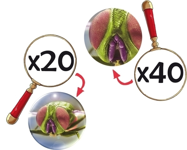 Мікроскоп Navir, з 20- або 40-кратним збільшенням (8050) - Pampik - 2