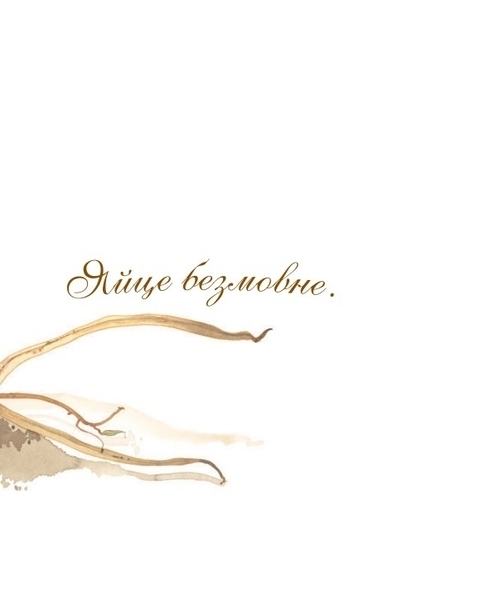 Арт-енциклопедія для дітей. Яйце безмовне - Астон Гуттс Діанна - Pampik - 2