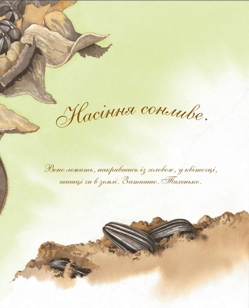 Арт-енциклопедія для дітей. Насіння сонливе - Астон Гуттс Діанна - Pampik - 4