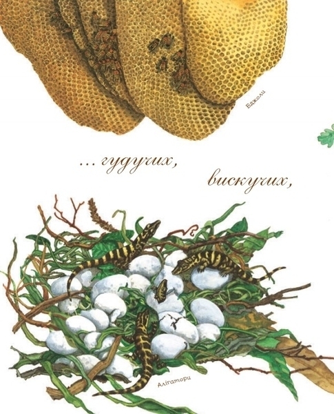 Арт-енциклопедія для дітей. Гніздо галасливе - Астон Гуттс Діанна - Pampik - 4