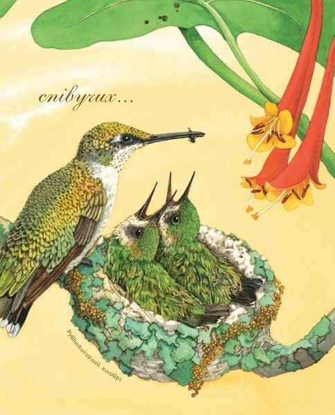 Арт-енциклопедія для дітей. Гніздо галасливе - Астон Гуттс Діанна - Pampik - 3