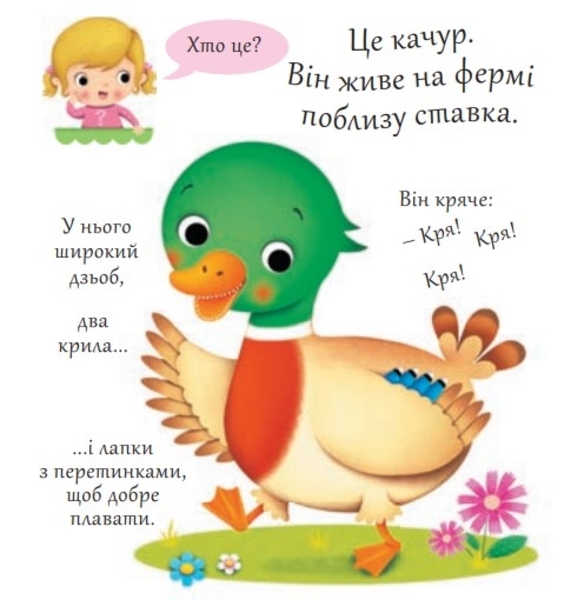 Качки - Беліно Н. - Pampik - 2