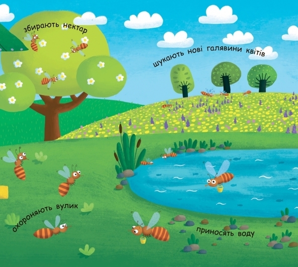 Моя перша енциклопедія. Як утворюється мед? - Конопленко І.І. - Pampik - 8