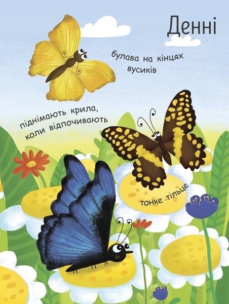 Моя перша енциклопедія. Як народжується метелик? - Ганна Булгакова (Л807010У) - Pampik - 8