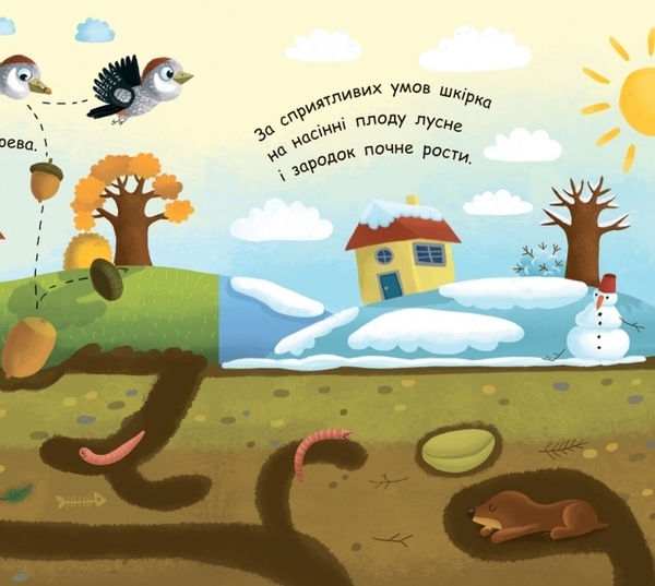 Моя перша енциклопедія. Як виростає дерево? - Конопленко І.І. - Pampik - 3