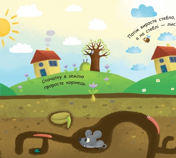 Моя перша енциклопедія. Як виростає дерево? - Конопленко І.І. - Pampik - 4