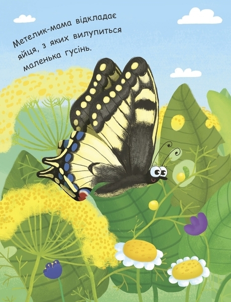 Моя перша енциклопедія. Як народжується метелик? - Ганна Булгакова (Л807010У) - Pampik - 2