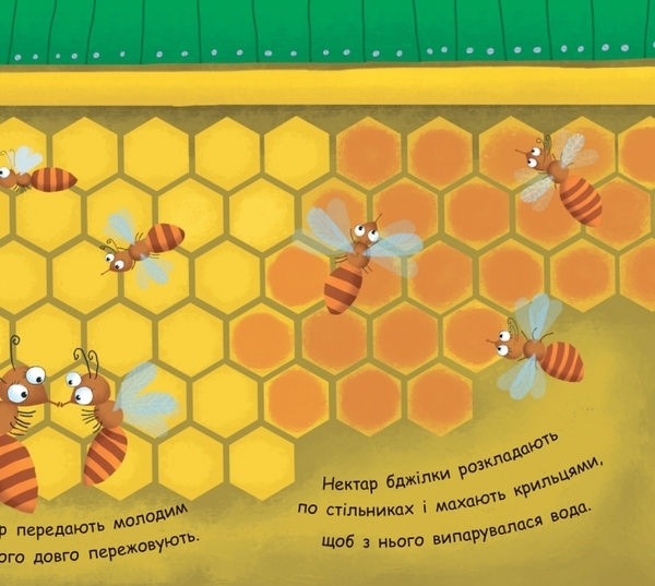 Моя перша енциклопедія. Як утворюється мед? - Конопленко І.І. - Pampik - 3