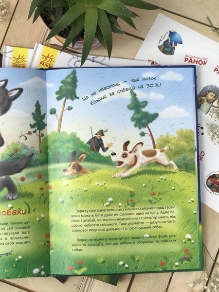 Зірки Pro. Пан Вовк - Олексій Горбунов - Pampik - 6