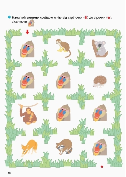 Kumon. Вчимо розфарбовуваті. Зоопарк - Кумон Тору - Pampik - 2