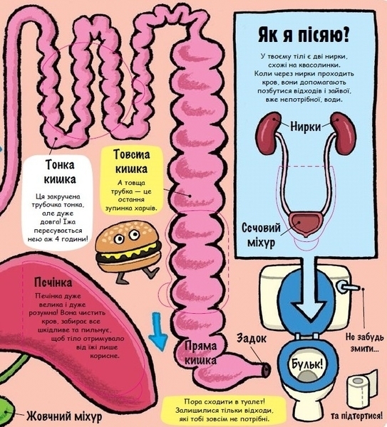Моє дивовижне тіло - Рут Мартін - Pampik - 4