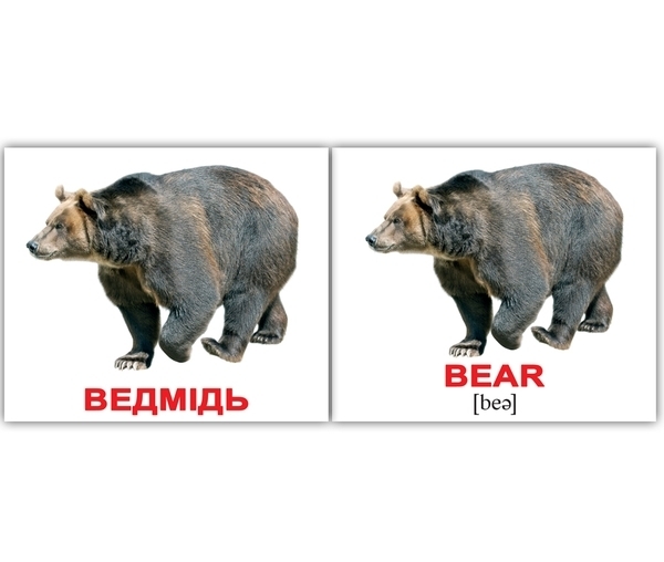 Подарунковий набір Вундеркінд з пелюшок Англо-українська валізочка (10 мінінаборів) - Pampik - 4