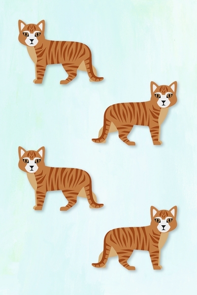 Настольная игра Djeco Cridanimo (DJ05109) - Pampik - 9