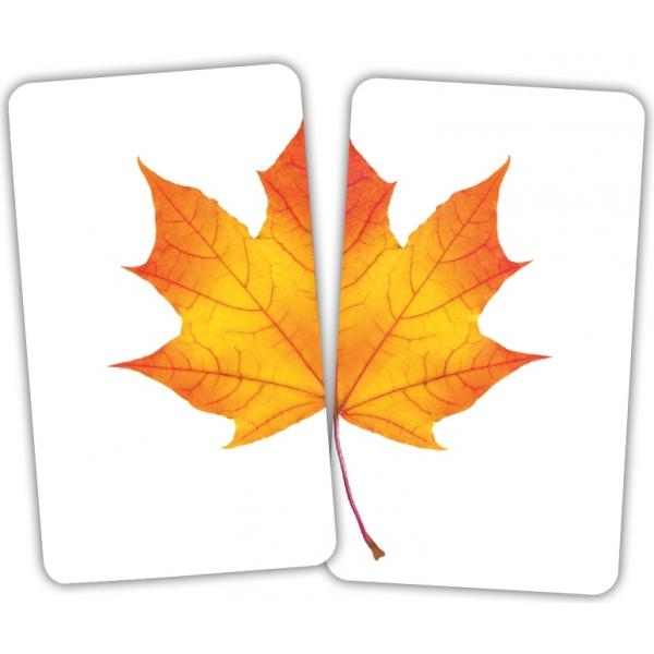 Набір карток Домана Вундеркінд з пелюшок Половинки, 15 пар карток, укр. мова - Pampik - 2