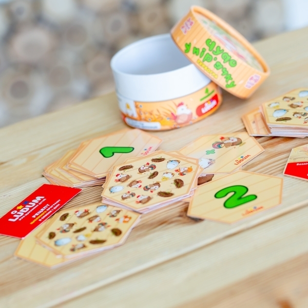 Настільна гра Ludum Чудо в пір'ї (LG2045-57) - Pampik - 2