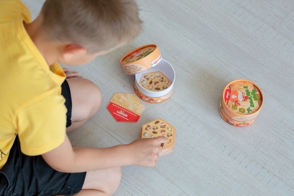 Настільна гра Ludum Чудо в пір'ї (LG2045-57) - Pampik - 4