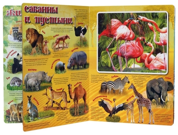 Тварини. Збери пазл - Жученко М. - Pampik - 3