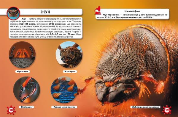 Фотоенциклопедія. Світ навколо нас. Мікросвіт (F00020425) - Pampik - 2