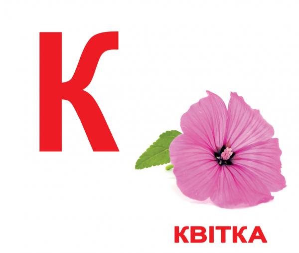 Набір ламінованих карток Домана Вундеркінд з пелюшок Азбука, укр. мова (2100064155314) - Pampik - 2