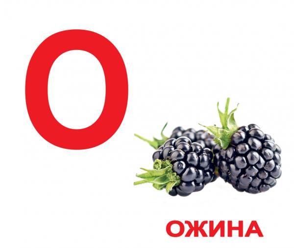 Набір ламінованих карток Домана Вундеркінд з пелюшок Азбука, укр. мова (2100064155314) - Pampik - 3