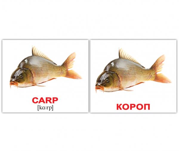 Мини-карточки Домана Вундеркинд с пеленок Водяні тварини/Water animals, украинско-английский (2100065155313) - Pampik - 4