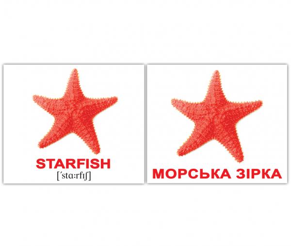 Мини-карточки Домана Вундеркинд с пеленок Водяні тварини/Water animals, украинско-английский (2100065155313) - Pampik - 3