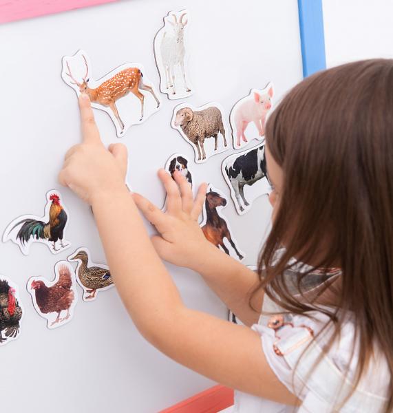 Набор магнитов Magdum Ферма Фото (ML4031-04) - Pampik - 5