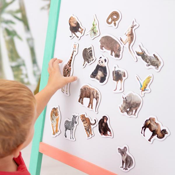 Набор магнитов Magdum Зоопарк Фото (ML4031-02 EN) - Pampik - 4