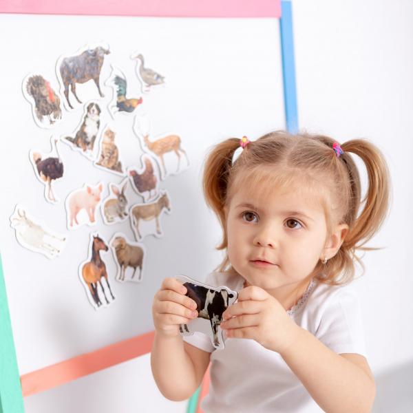 Набор магнитов Magdum Ферма Фото (ML4031-04) - Pampik - 3